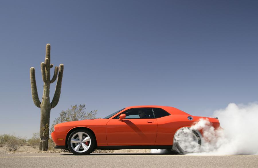  Dodge Challenger SRT8 2008 года  (фото 221 из 356)